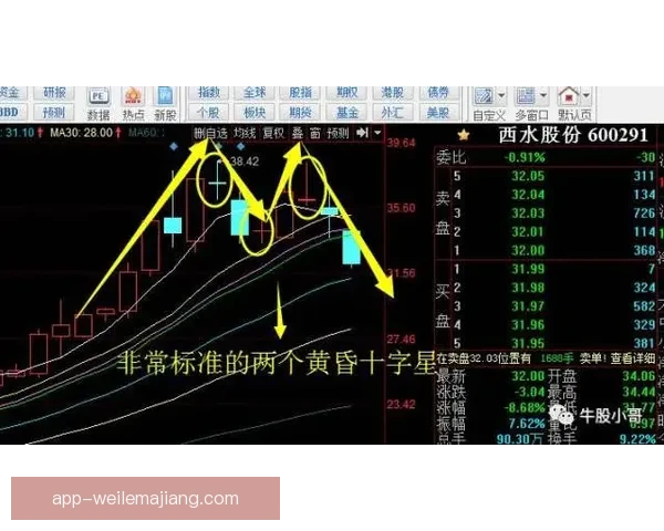 哥廷根83-90图寅根雷达虎技术性能与应用前景分析